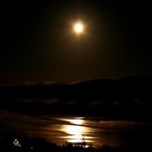 P&aring; v&auml;g hem till unders&aring;ker i fullm&aring;ne ser jag . Foto: Adrian Fr&ouml;lund.