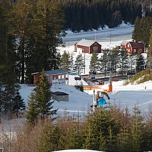 mute. Foto: jocke. &Aring;kare: jag.