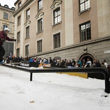 Winter Show i Kungstr&auml;dg&aring;rden 2014.. Foto: Hedda Berander.