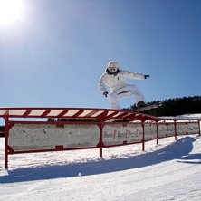 Foto: Mange werner. &Aring;kare: Linus Krohn.