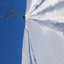 nysn&ouml; 17 april.. Foto: Isak St&aring;lenhag. &Aring;kare: Pist&ouml;rer bj&ouml;rkis.
