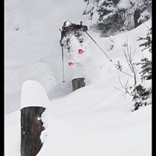 Peter studsar ner &ouml;ver stubbarna i den fridlysta . Foto: Christian &Aring;kesson. &Aring;kare: Peter Andersson.