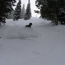 Foto: Robin Andersson. &Aring;kare: Erik Ramnelius.