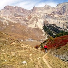 Foto: thomas thenander. &Aring;kare: johan palm.