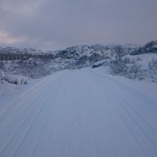 L&oslash;yper spores!
Jon Kristian og Asle har brukt mor.