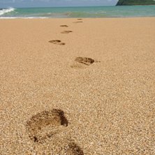 Fotsp&aring;r i sanden. Bilden &auml;r tagen p&aring; stranden v. Foto: Johanna M&ouml;rk.