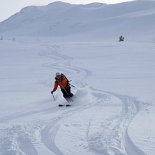 Foto: Anders Merenius. &Aring;kare: Monika Eriksson.