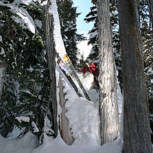 Foto: Erik R&ouml;nnblad. &Aring;kare: Arvid Lorentzon.