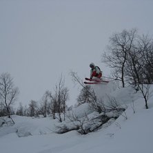Foto: Harald Otterstad. &Aring;kare: Ivar Fugle Nordhaug.