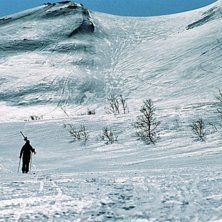 Lonely skiier. Foto: Wolf H&ouml;rner. &Aring;kare: Johannes H&ouml;rner.