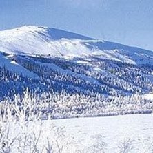 ett j&auml;kligt fin skid/br&auml;d st&auml;lle. Foto: ?.