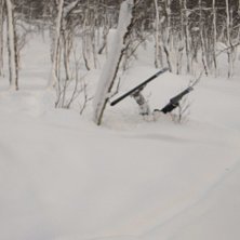 Fr&aring;n min b&auml;sta sida??. Foto: Erik G&ouml;l&eacute;n. &Aring;kare: iana.