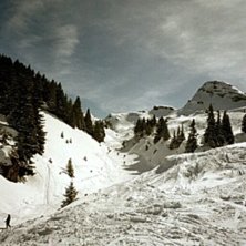 fint v&auml;der. Foto: daniel w&aring;rdh. &Aring;kare: ....