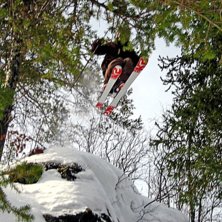 Synd med grenen...annars fin bild. Foto: Johan R&ouml;ckner. &Aring;kare: Jocke Lenndin.