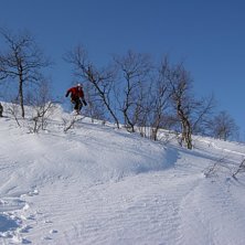 30-40 cm nysn&ouml; + sol = SOFT. &Aring;kare: jag.
