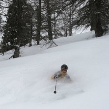 Djupt nr 3 i l&auml;rkskogen. Foto: Sture &Aring;gren. &Aring;kare: Peter Karlsson.