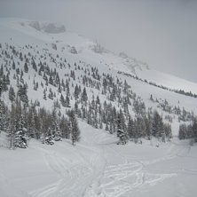 Gles granskog 40 cm l&ouml;ssn&ouml;.. Foto: John Skogsbacke.