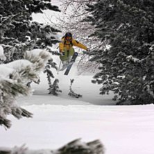 I &auml;kta Robban Olsson stil.. Foto: Victor Apelgren. &Aring;kare: Per Lind.