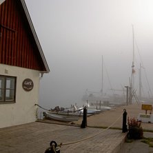 En tidig sommarmorgon, mer lik h&ouml;st. Foto: Maja Hall&eacute;n.