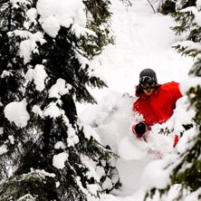 Foto: Johan Wennerstr&ouml;m.