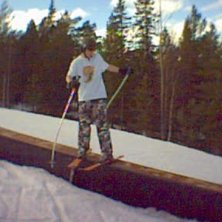 Foto: Viktor &Aring;kerlund. &Aring;kare: bullen.