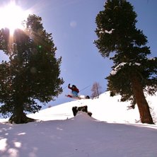 Hopp &ouml;ver en gammal stubbe i skogen i Zermatt.. Foto: Andreas Alm. &Aring;kare: Adam Jonsson.