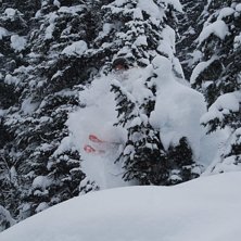 Foto: Johan Olofsson. &Aring;kare: Martin Stenberg.