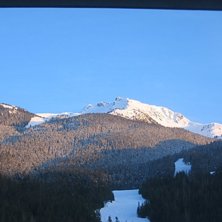 Foto: Erik Cederqvist.