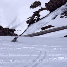 Foto: Robert Hortlund. &Aring;kare: Henrik&amp;quot;HENDRYX&amp;quot; Luthman.