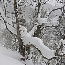 Deep in Jackson! Japan -18.