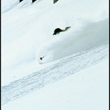 Foto: Jaokim Bergqvist. &Aring;kare: Niklas Bergqvist.