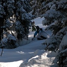 P&aring;v&auml;g ner i Langen-skogen efter sn&ouml;fall.. Foto: Felix Grunert. &Aring;kare: Rikard Lindblad.