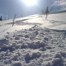 Foto: Martin Brandel. &Aring;kare: Martin Brandel.