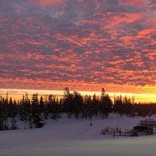 En morgon i Lindvallen.. Foto: Ther&eacute;se Kjellgren.