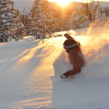 Foto: Peter Modigh. &Aring;kare: Oscar Modigh.