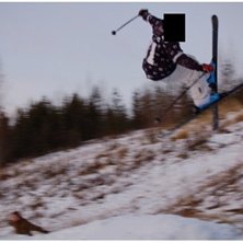 ett f&ouml;rs&ouml;k p&aring; misty som gick &aring;t skogen. Foto: hampus. &Aring;kare: niclas hjelm.