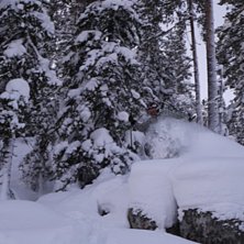 Kul i skogen. Foto: Alexander Bod&eacute;n. &Aring;kare: Gustav Bod&eacute;n.