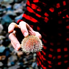 Foto: Christine Hargin. &Aring;kare: Taggboll.