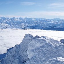 Foto: Johanna Lundgren.