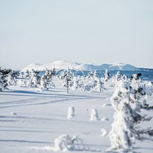 Idylliske Trysil
.