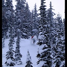 Foto: Tobias Thrysen. &Aring;kare: Daniel Forsberg.