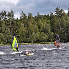 Kajakmanne var inte lika snabb som polarna =). Foto: Mario L&ouml;nnquist. &Aring;kare: Natur.