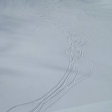 sn&ouml;bryggan skall vara d&auml;r...n&aring;nstans.. Foto: mattias sahlin. &Aring;kare: blandat.