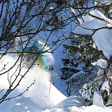 Skogen nedanf&ouml;r Borgahelags, en h&auml;rlig dag med M. Foto: Alvaro Susena. &Aring;kare: Sven X Olofsson.