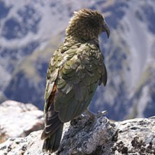 Foto: sara mattsson.