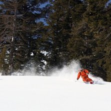 Foto: Jesper Tengvall. &Aring;kare: Oskar Brandberg.