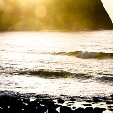 Foto: Christine Hargin.