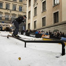 Winter Show i Kungstr&auml;dg&aring;rden 2014.. Foto: Hedda Berander.