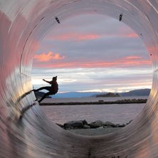 Efter jobbet drog vi en riktigt kul skejt i Trondh. Foto: Dennis Bjerkh&ouml;g. &Aring;kare: Emma Lennholm.