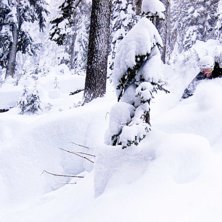 Foto: Mattias Fredler. &Aring;kare: Nils Hallgren.